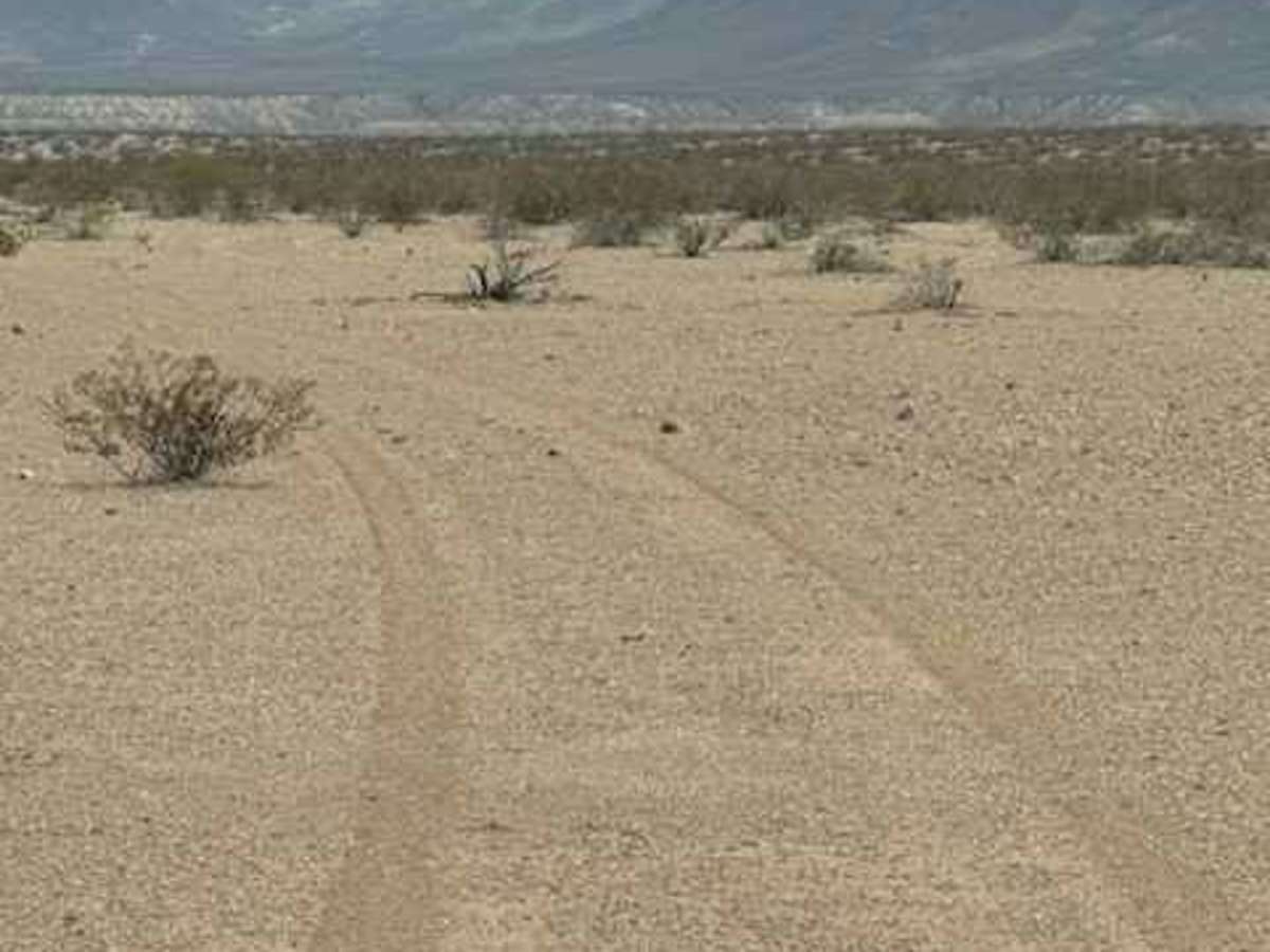 BLM PE1010 trail photo