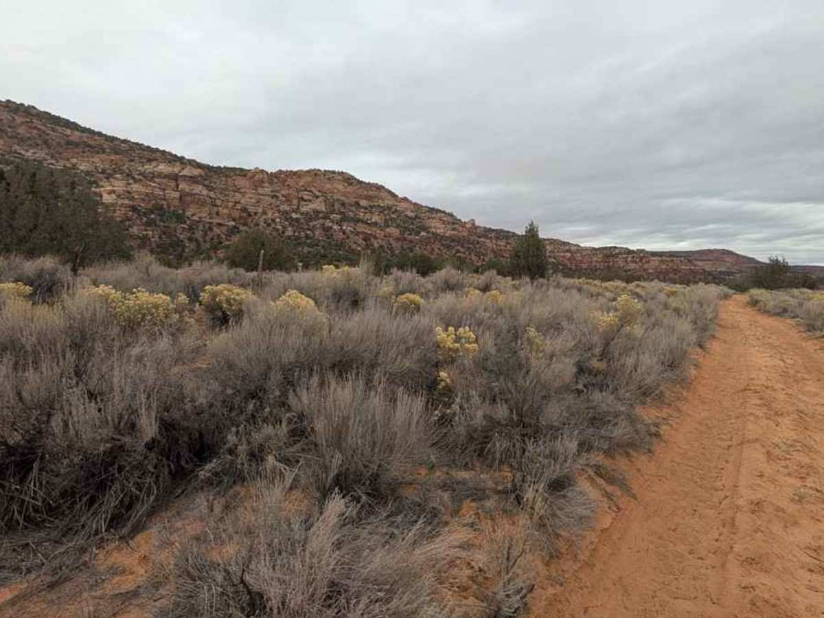 Rose Canyon - BLM M4156 photo 5
