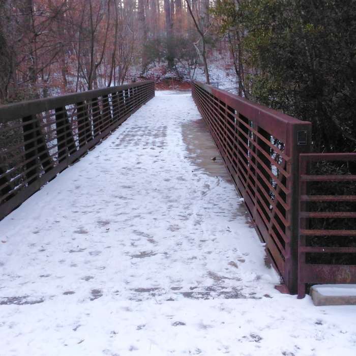 Near Black Creek Greenway