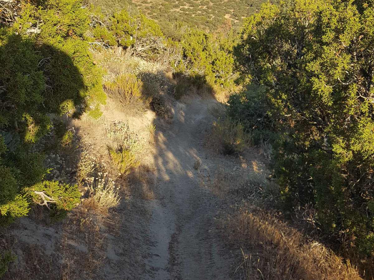 Trail 23 photo 4