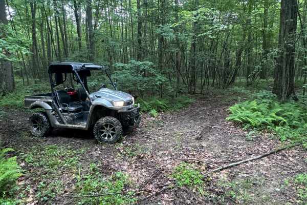 Trail 55