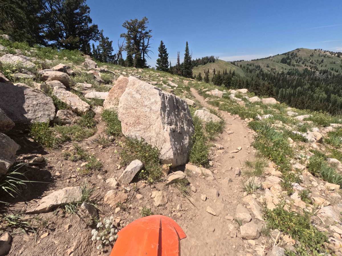 Highline Singletrack photo 6