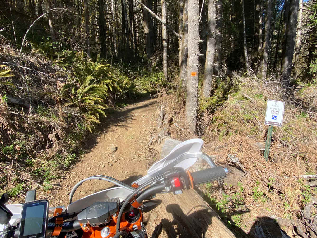 #58 Stage RD photo 6