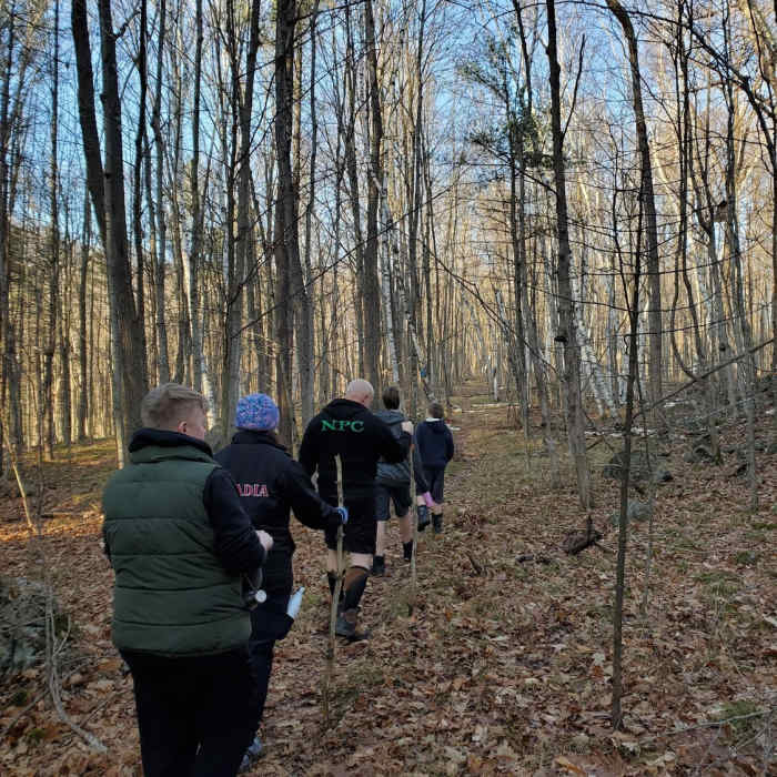 Group of hikers entering a birch grove. Near Gould Lake North-East Loop