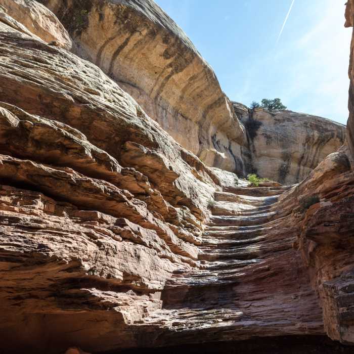 This is the slickrock chute leading to the canyon floor. Near Bullet Canyon Trail