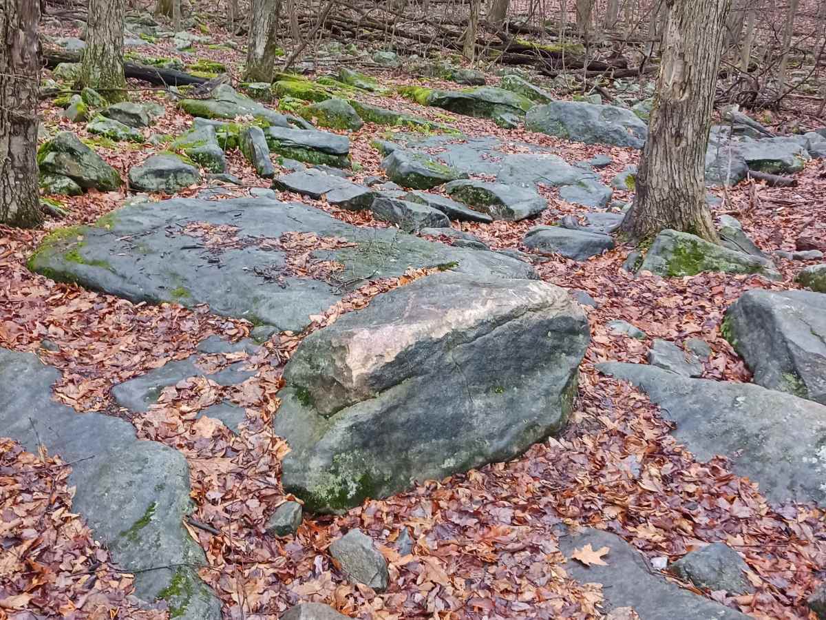 OHV 40 - Rock Run Recreation Area trail photo