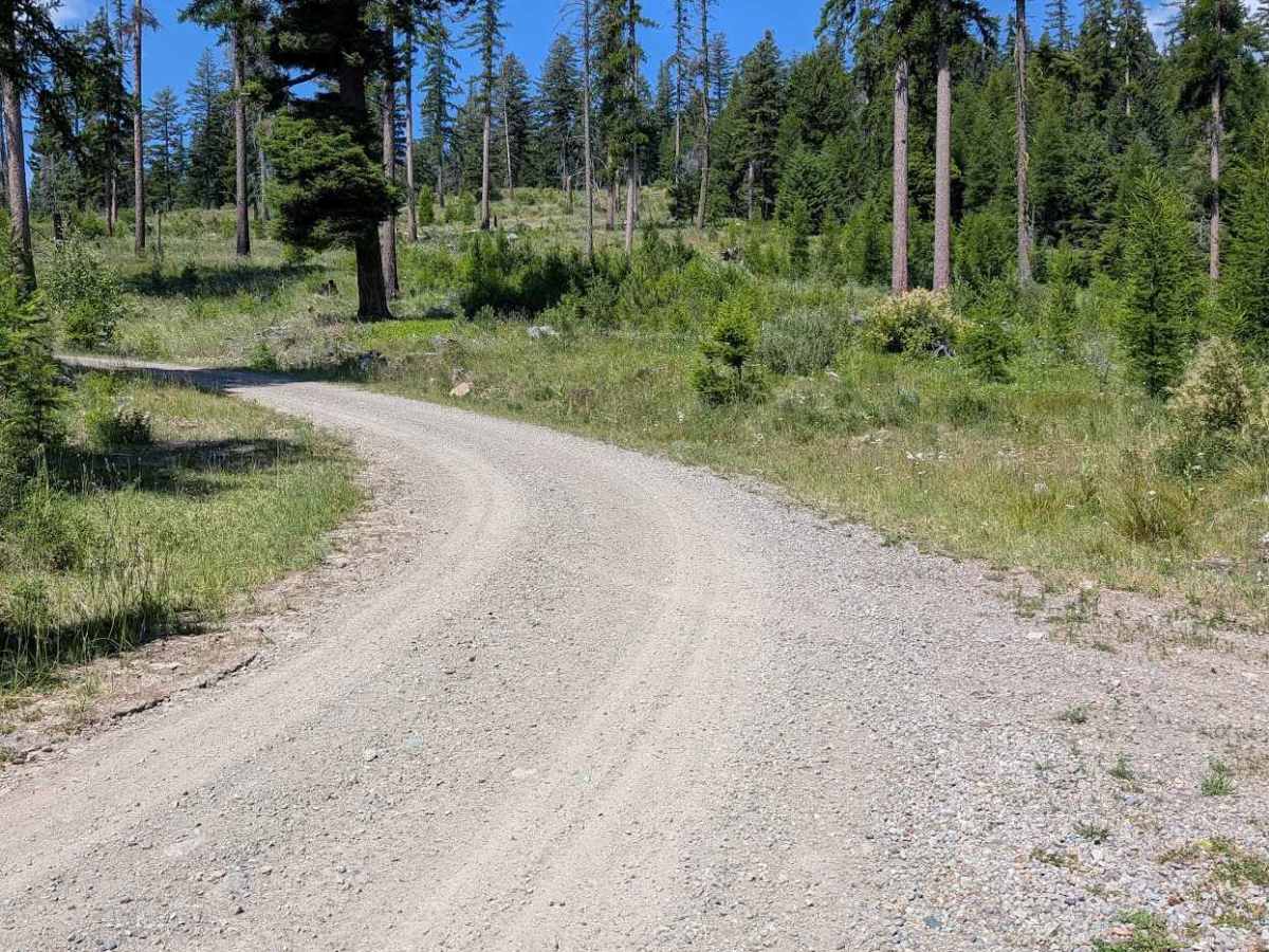 Gibson Creek Road trail photo