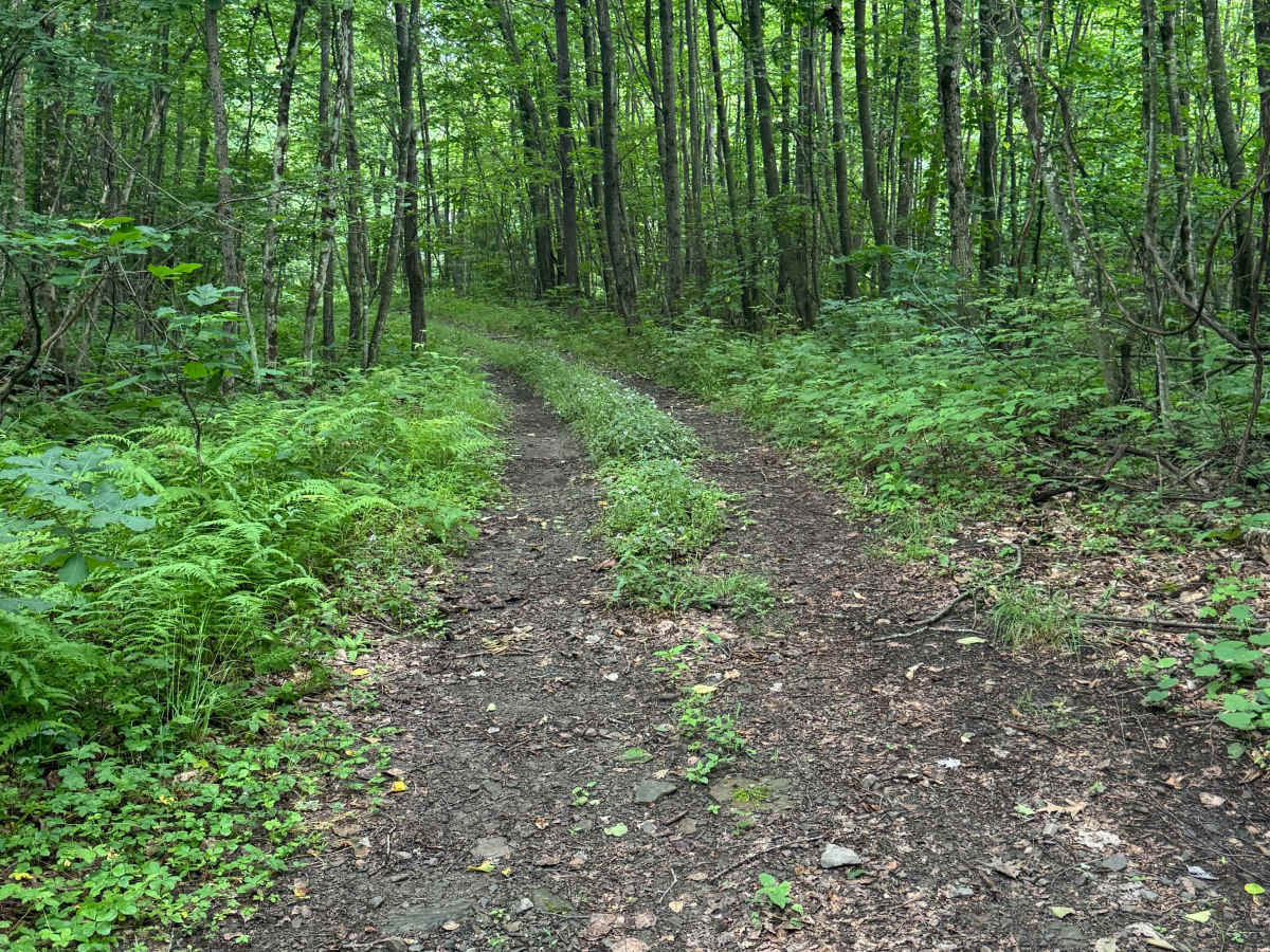 Trail 87 photo 2