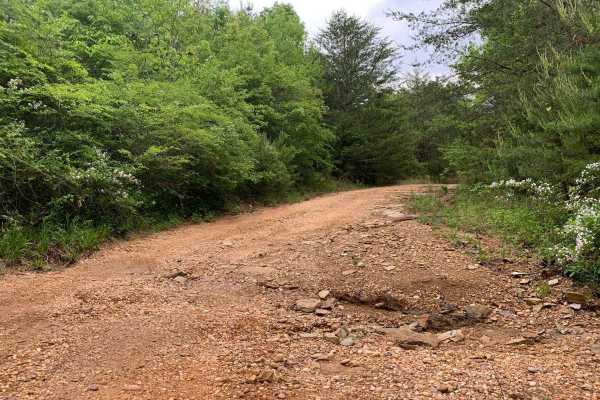 Turkey Creek Road