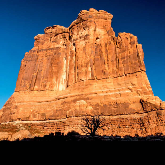 Near Park Avenue Trail