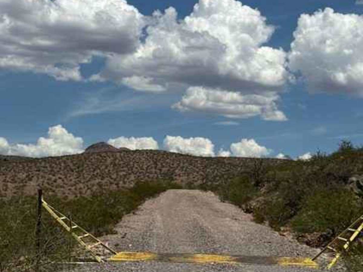 BLM PE1119 photo 6
