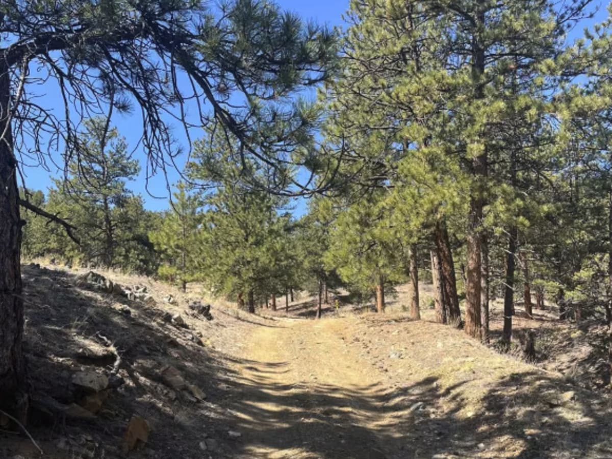 Long's Gulch Spur photo 5