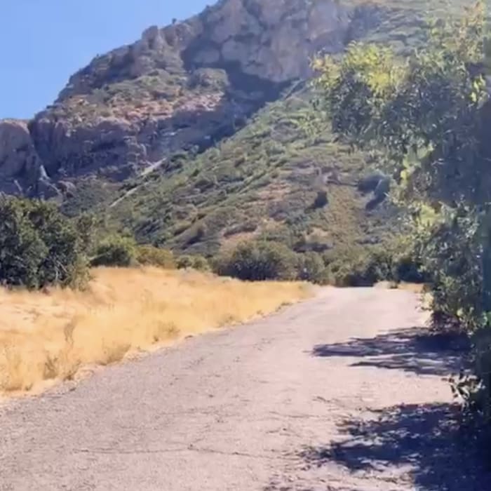 Near Rock Canyon Trail