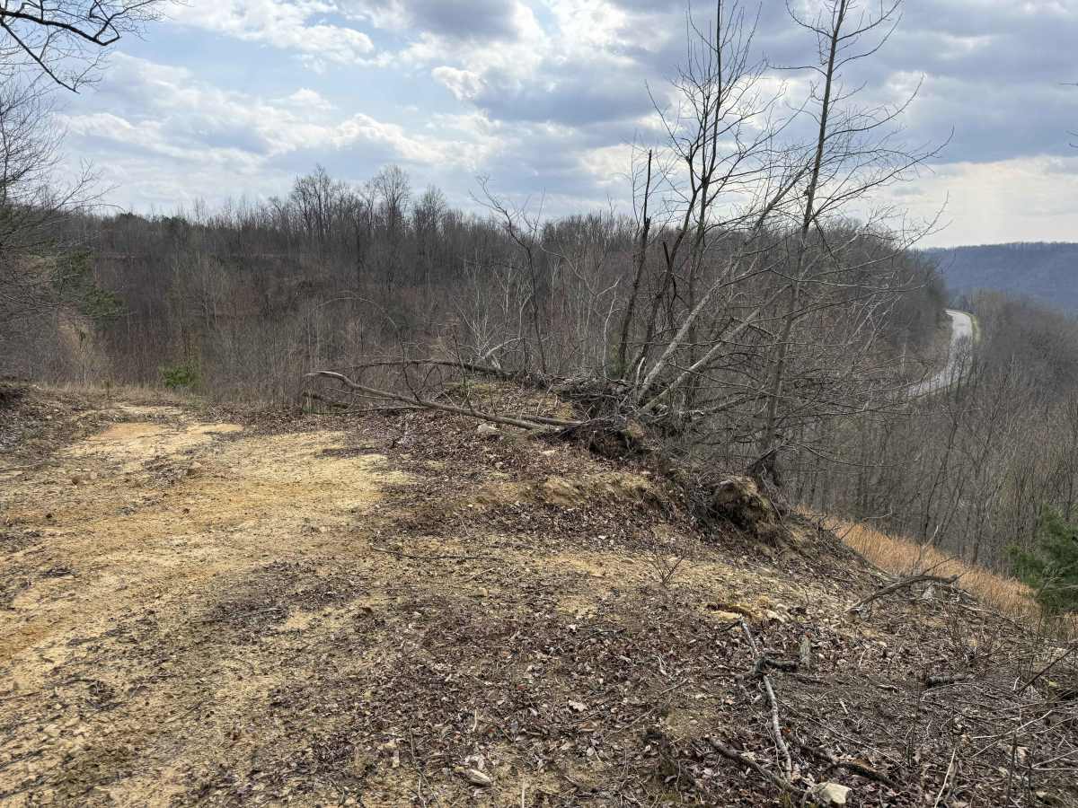Q16 photo 4