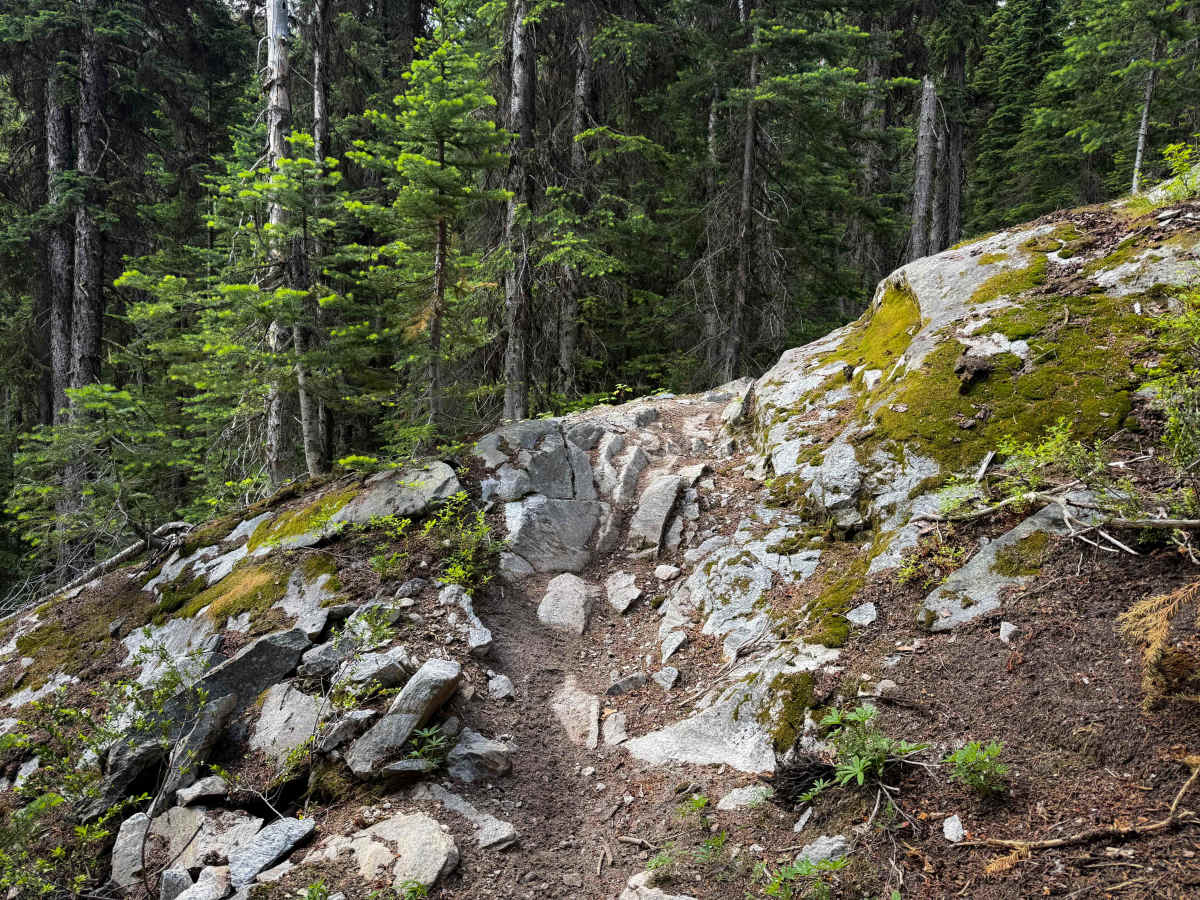 Martin Creek - 429  photo 5