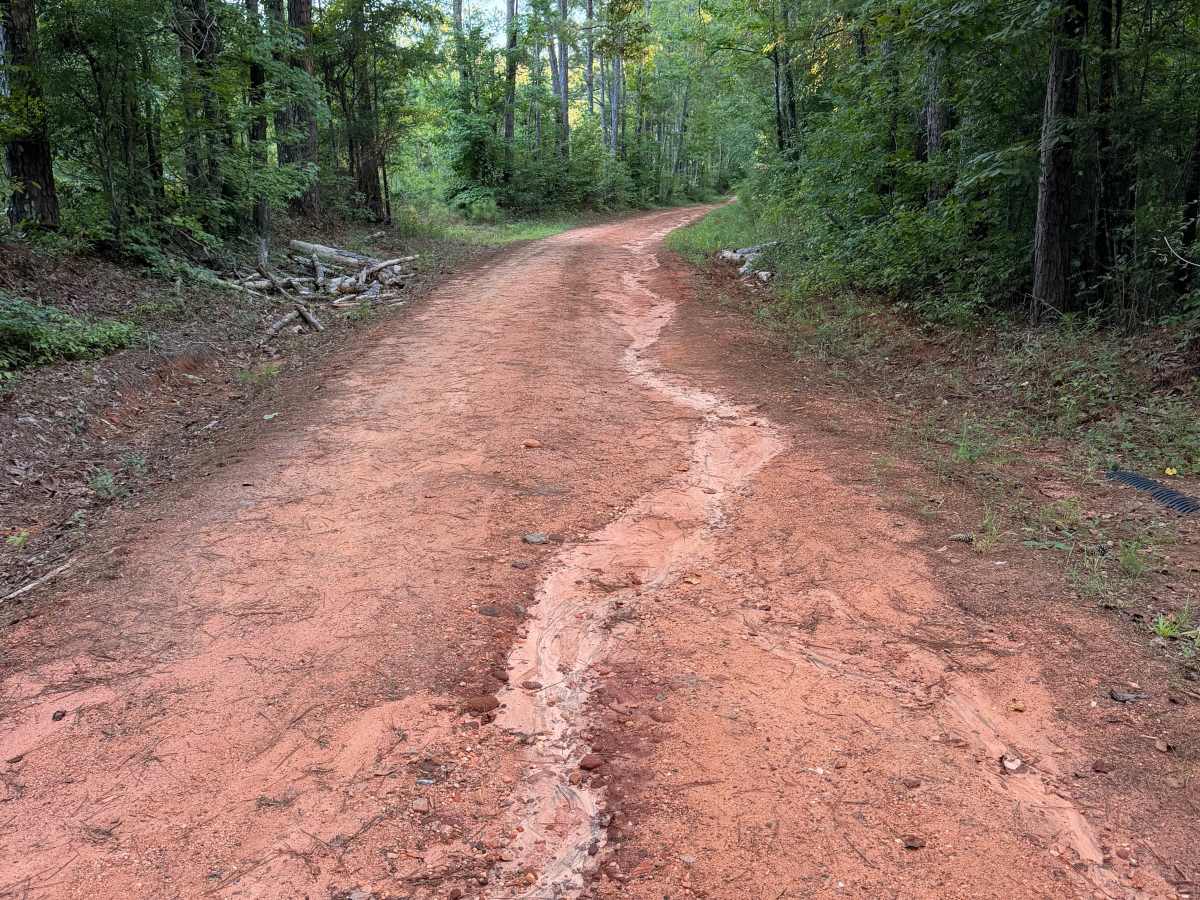 Turkey Trail photo 5
