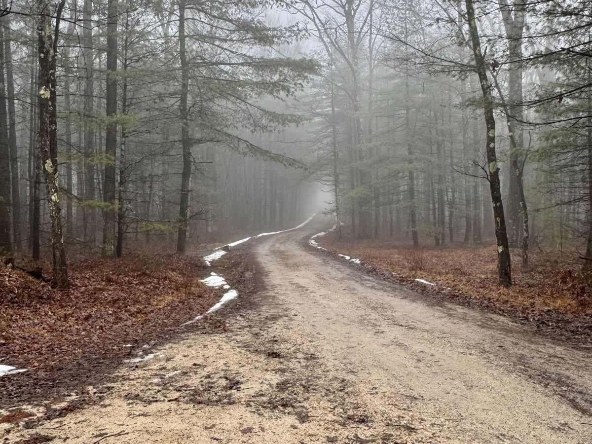Teats Run Trail photo 3