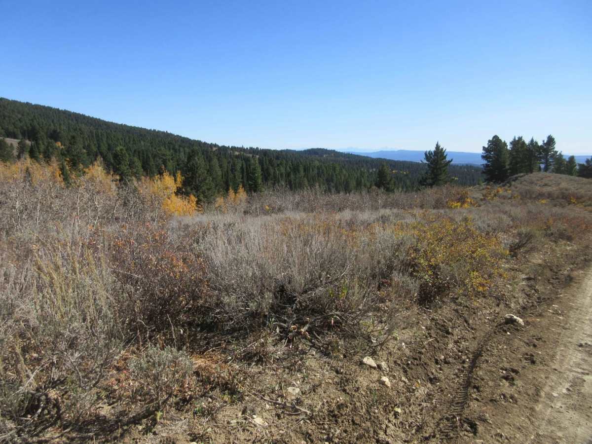 East Fork Dry Creek photo 3