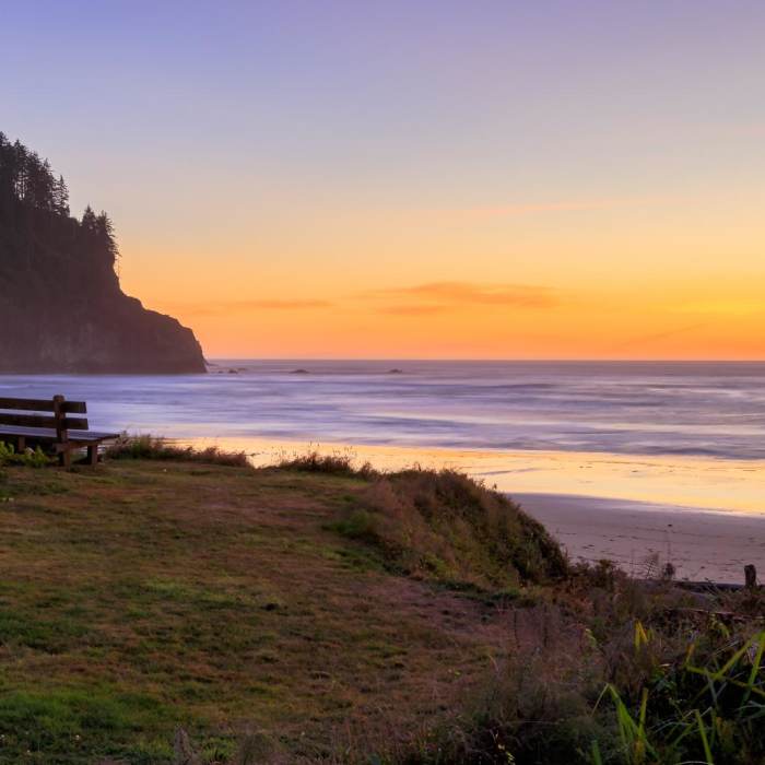 Near Cape Meares Big Spruce + Beach Trail