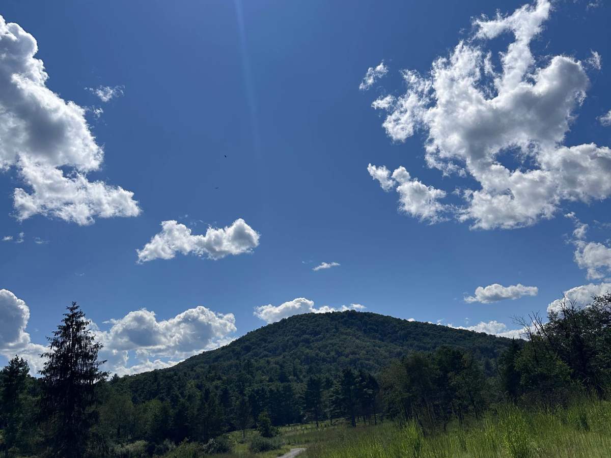 Slate Lick Run - FS 230 trail photo