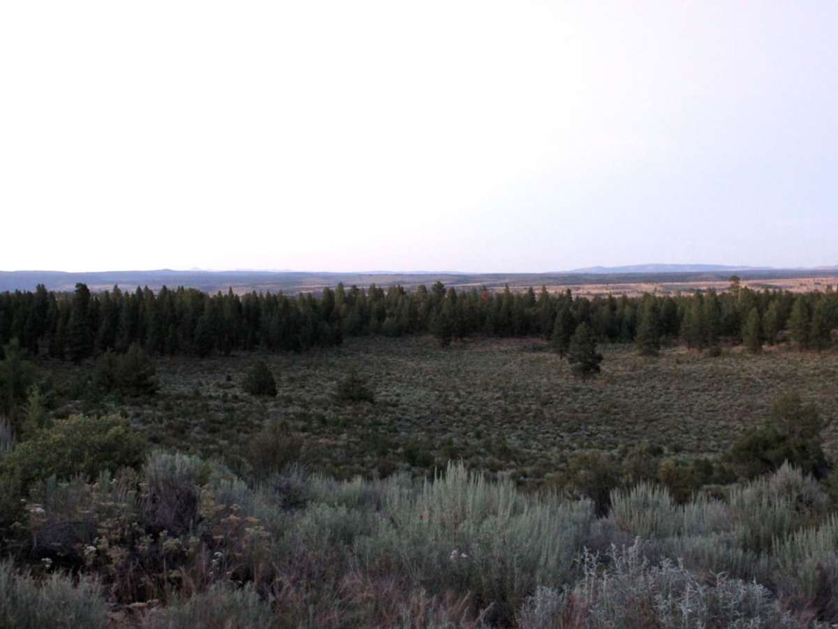 Burnt Basin photo 4