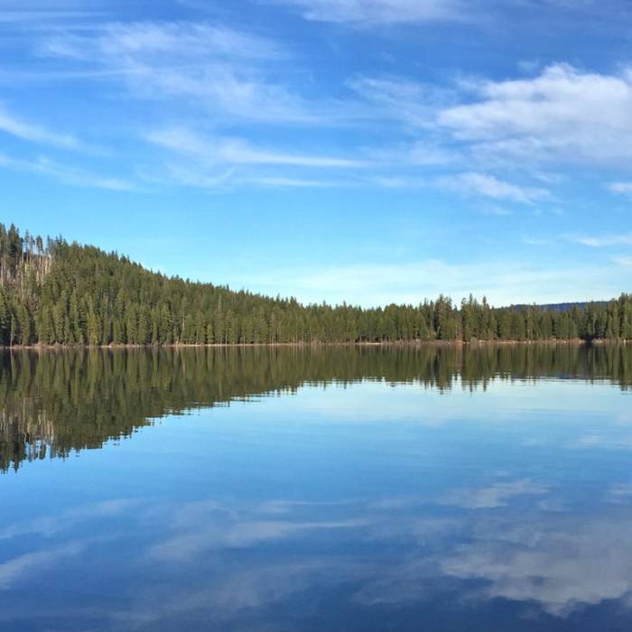 Near Suttle Lake Loop