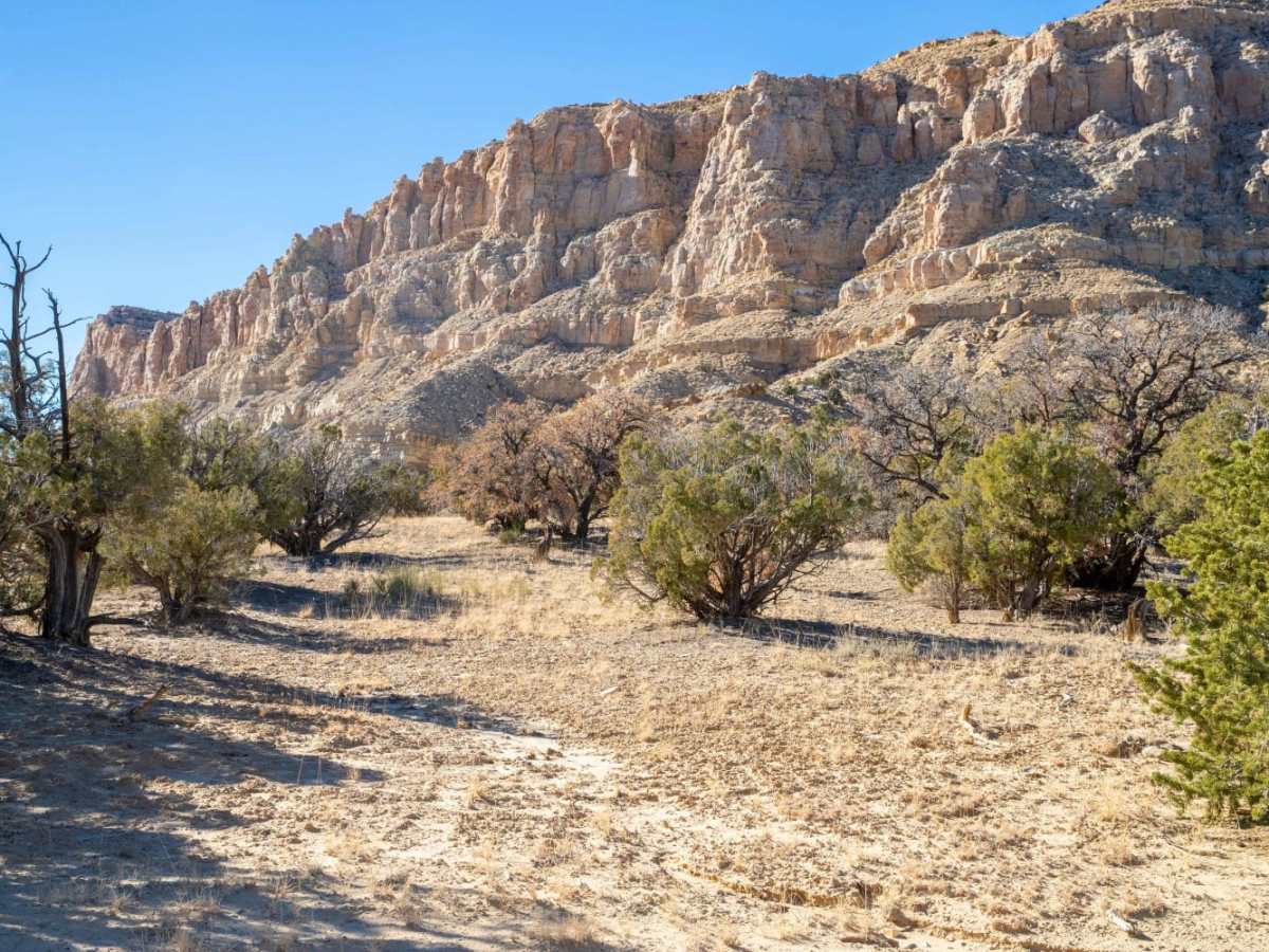 Henry Mountain Road photo 2