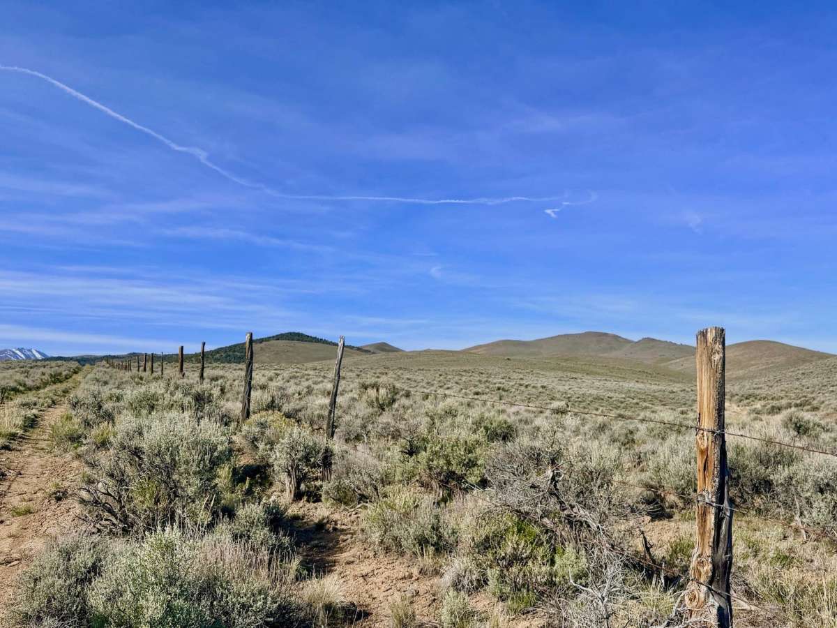 Bade Creek Bypass - FS 43224 photo 5