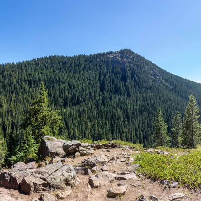 Near Soda Creek Trail #11