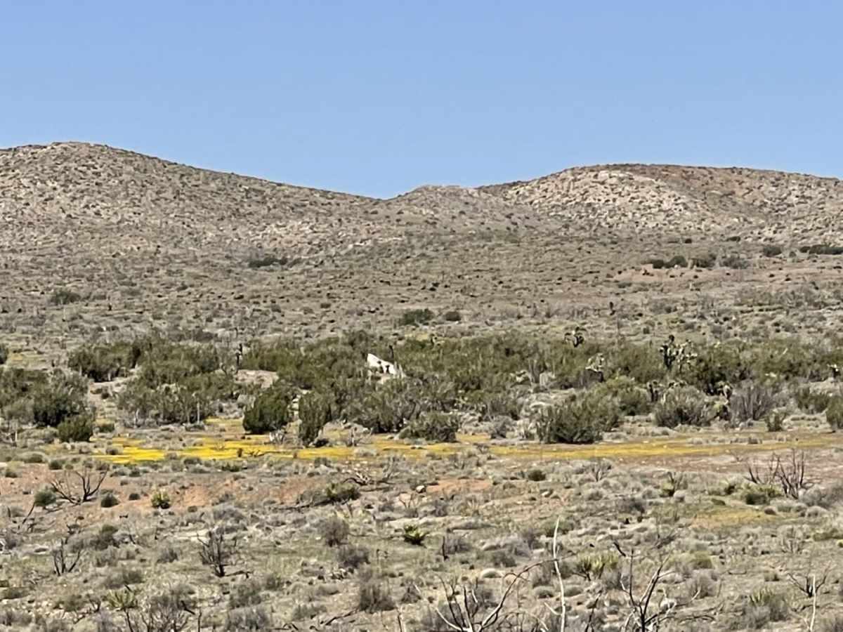 Juniper Flats Southern Access photo 5