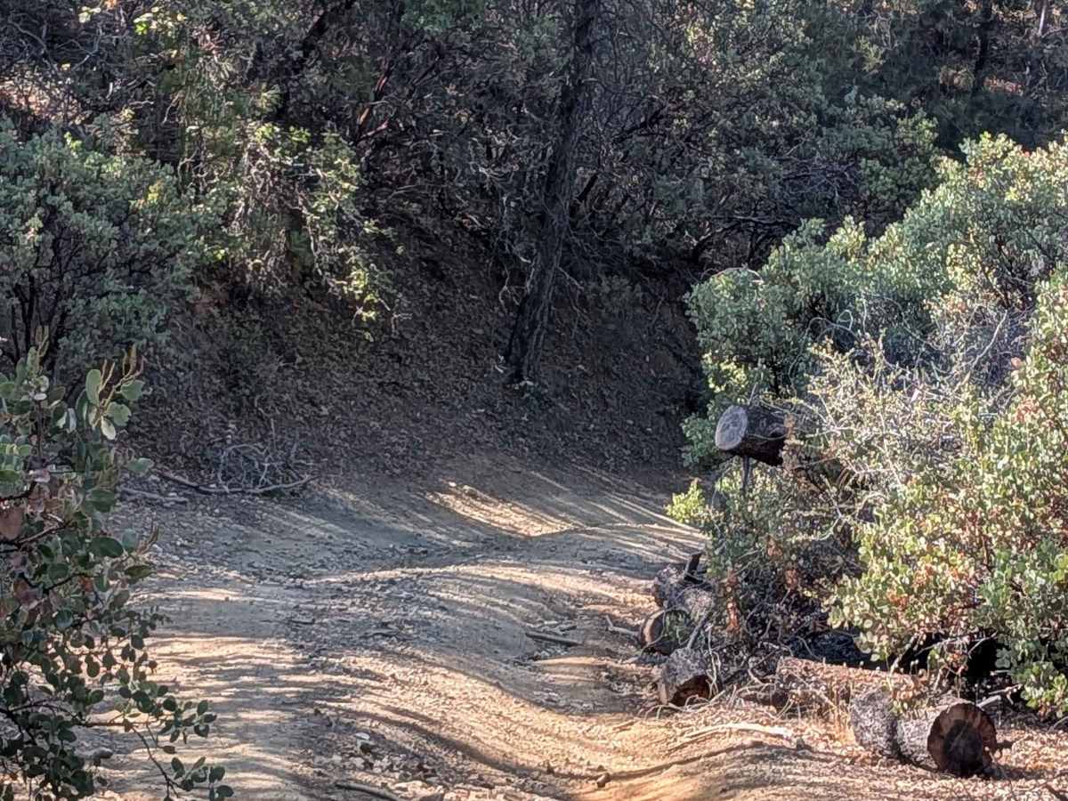 FS 2S11 trail photo