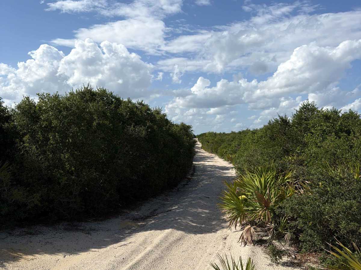 Lam Horse Trail - FS 22-2.8 photo 2