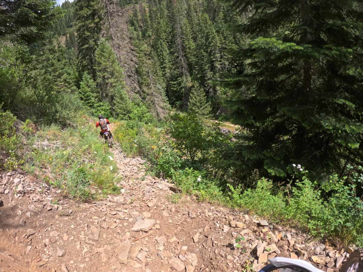 Bronson Meadows Loop photo 3