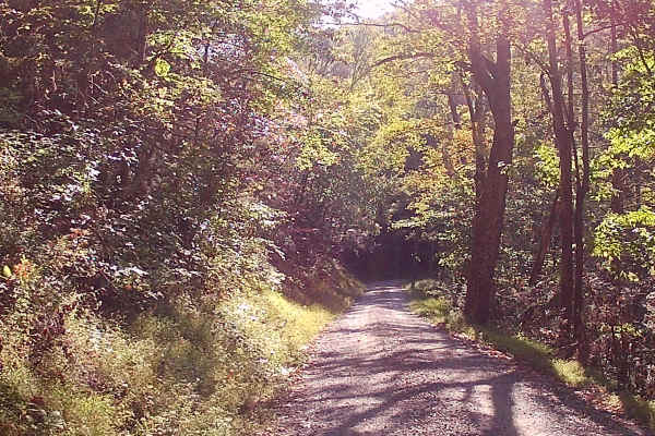 Breininger Gap Road