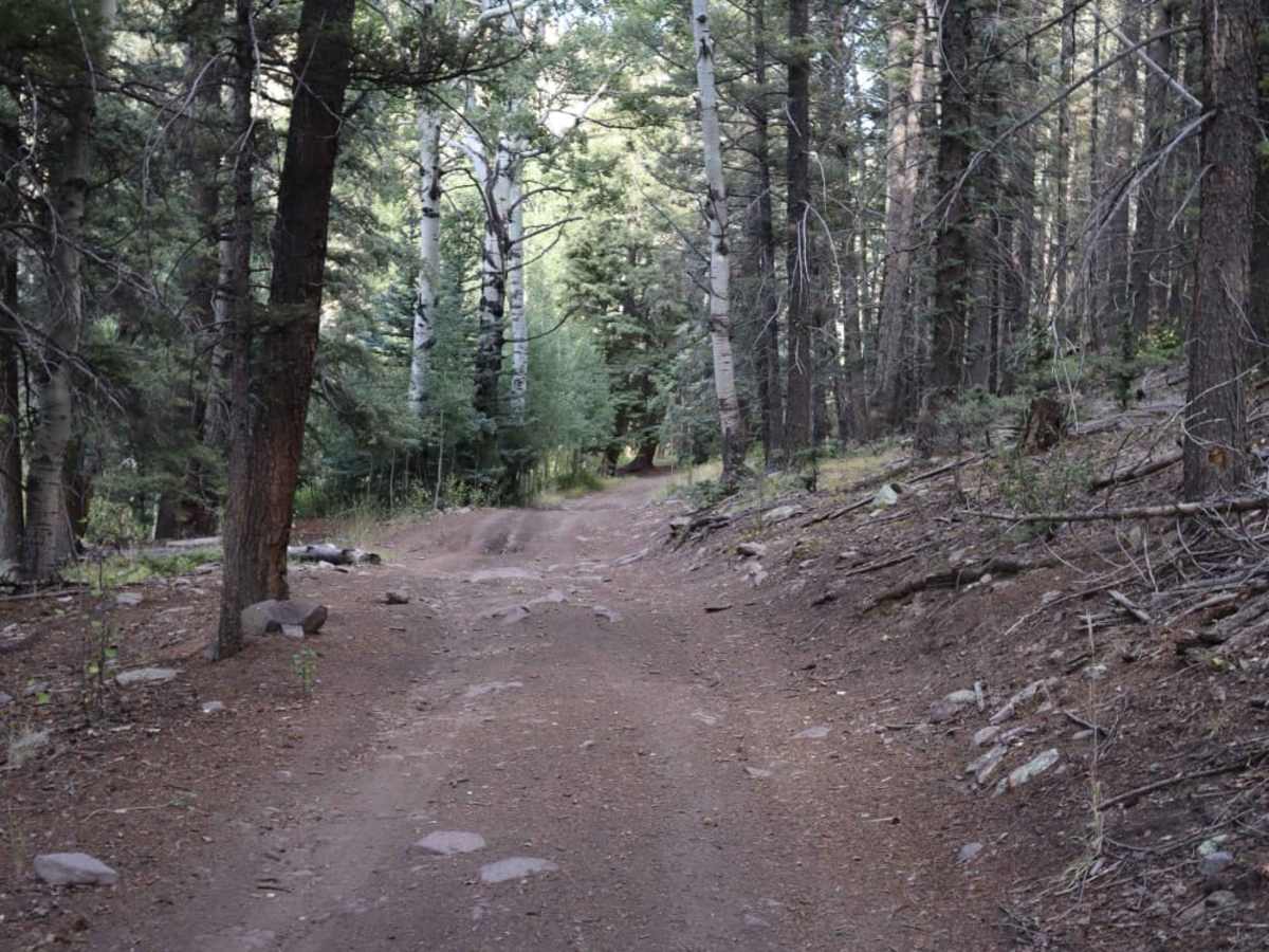 Schrader Creek photo 4
