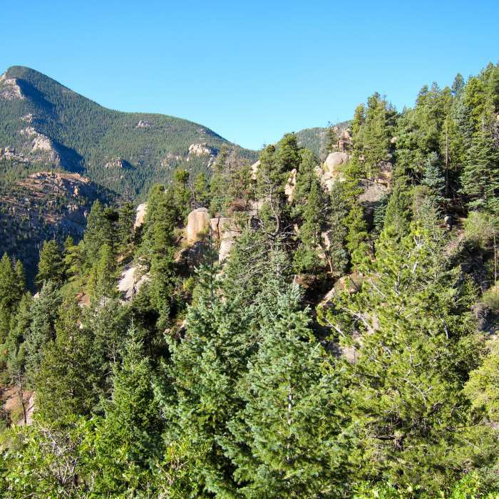 Near Barr Camp Out-and-Back