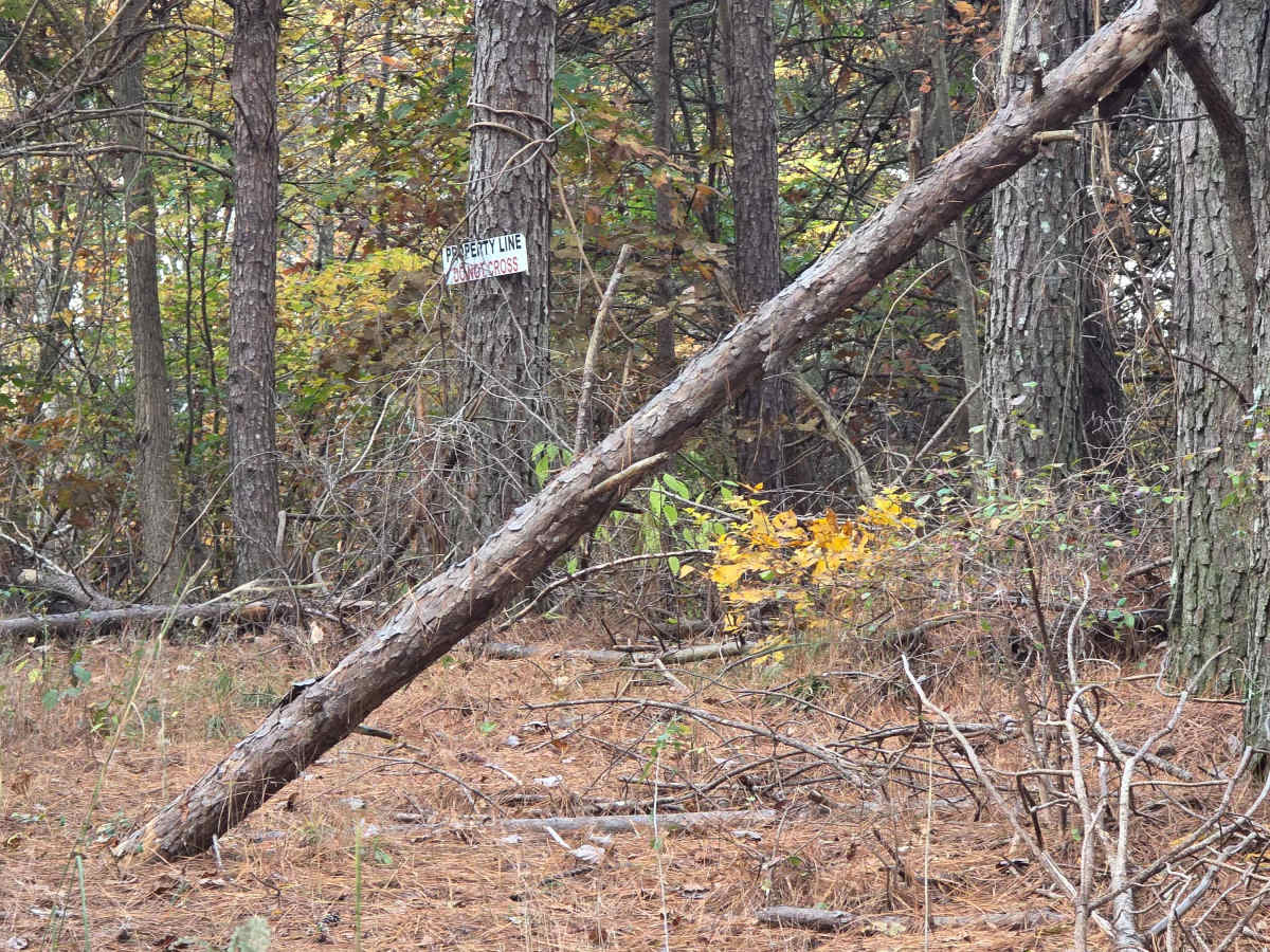 High Point Hill photo 6