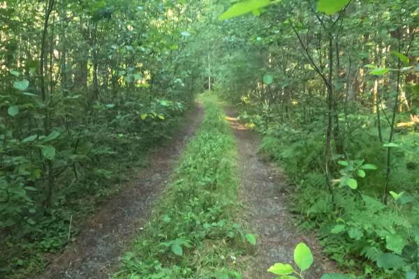 Upper Horn Creek - FS 2257-508