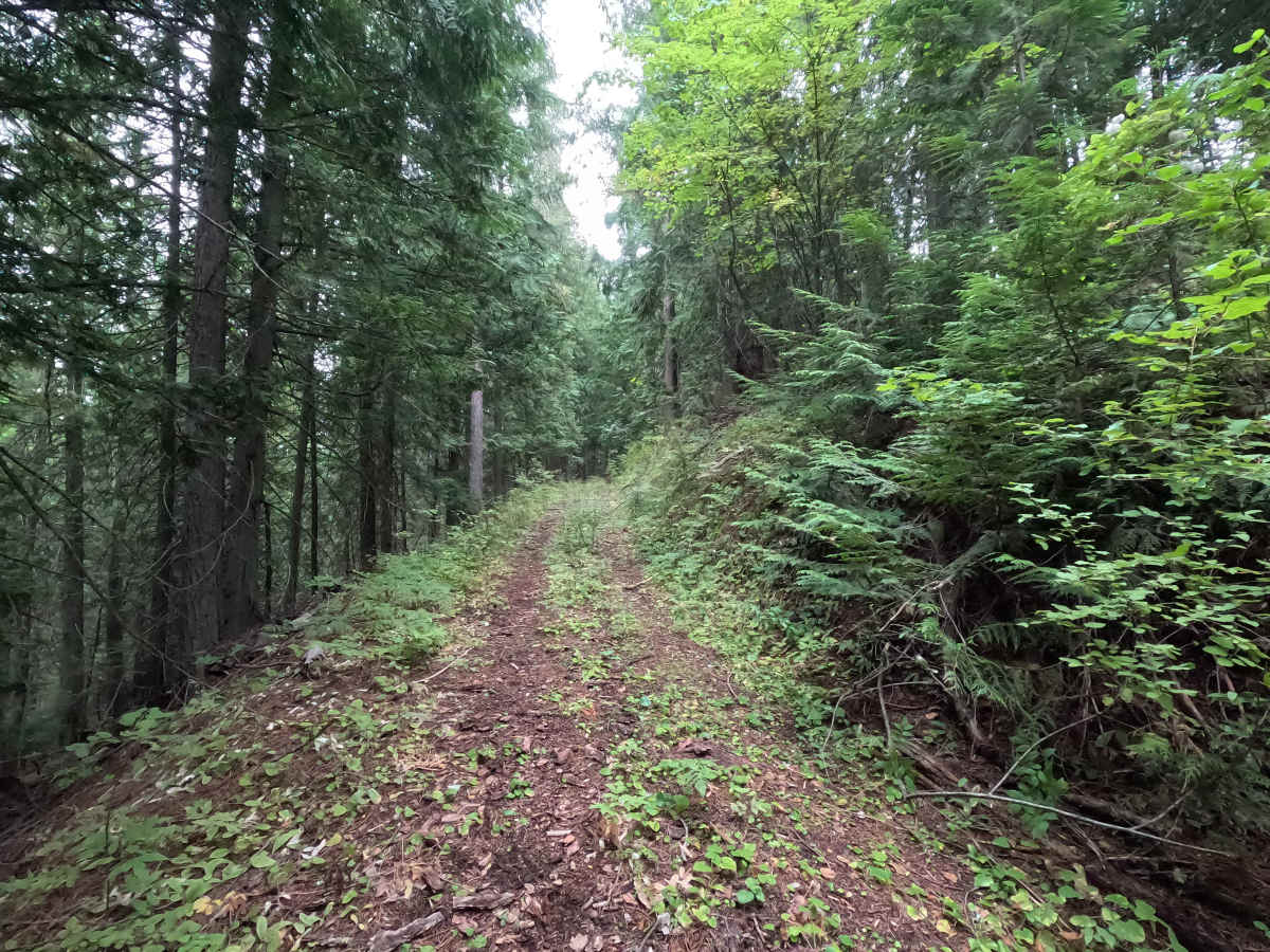 Goose Creek Point - FS 2730B photo 6