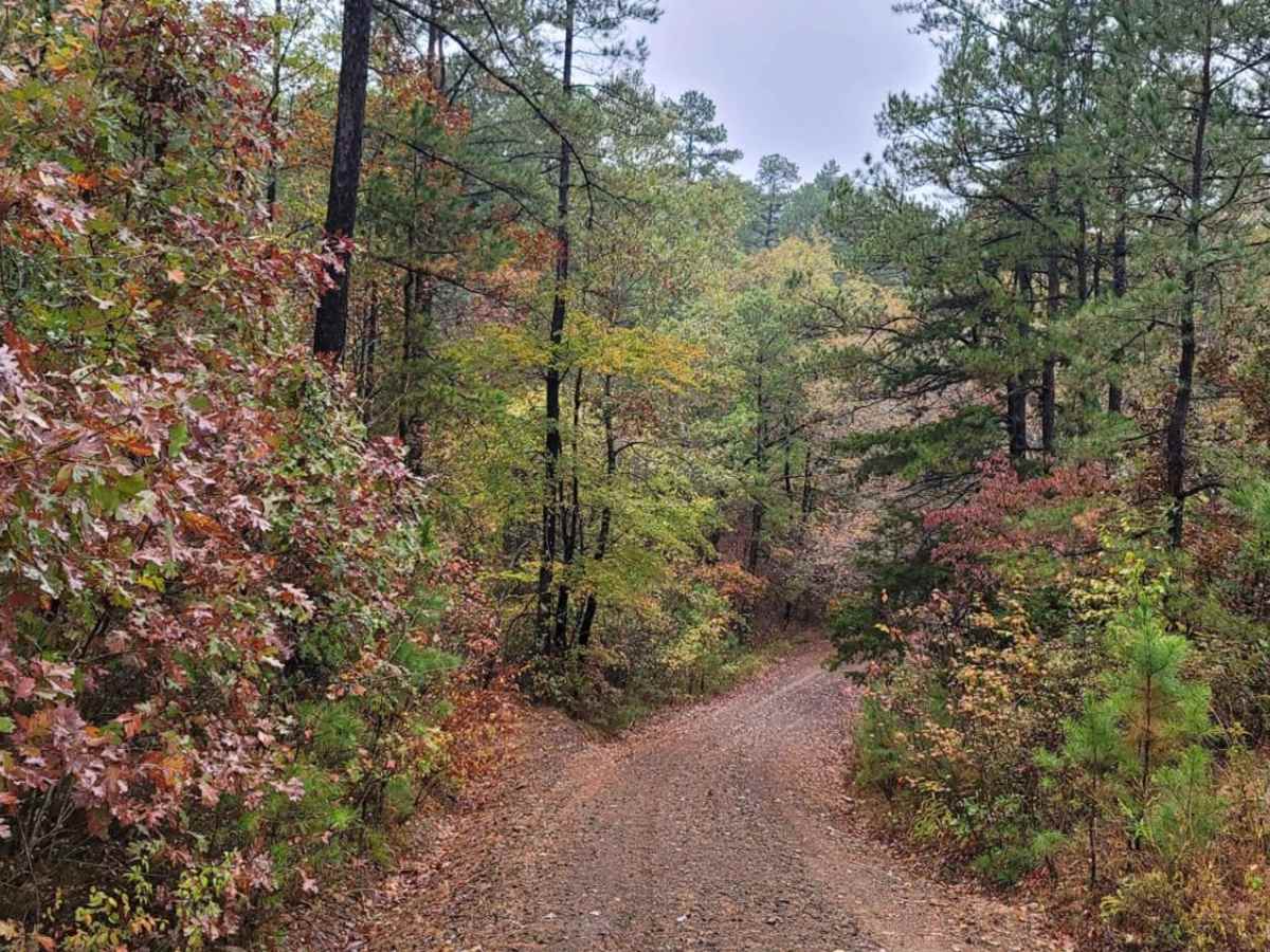 Talley Mountain photo 6