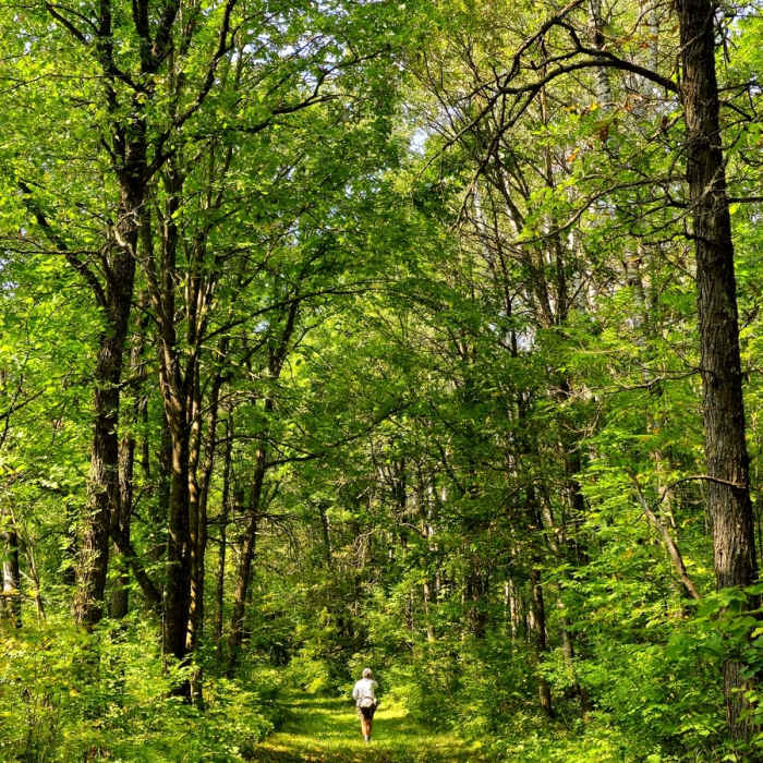Brooktail Kennedy Brook Trail | Hiking Trail Maps, Difficulty, Trail Status | onX