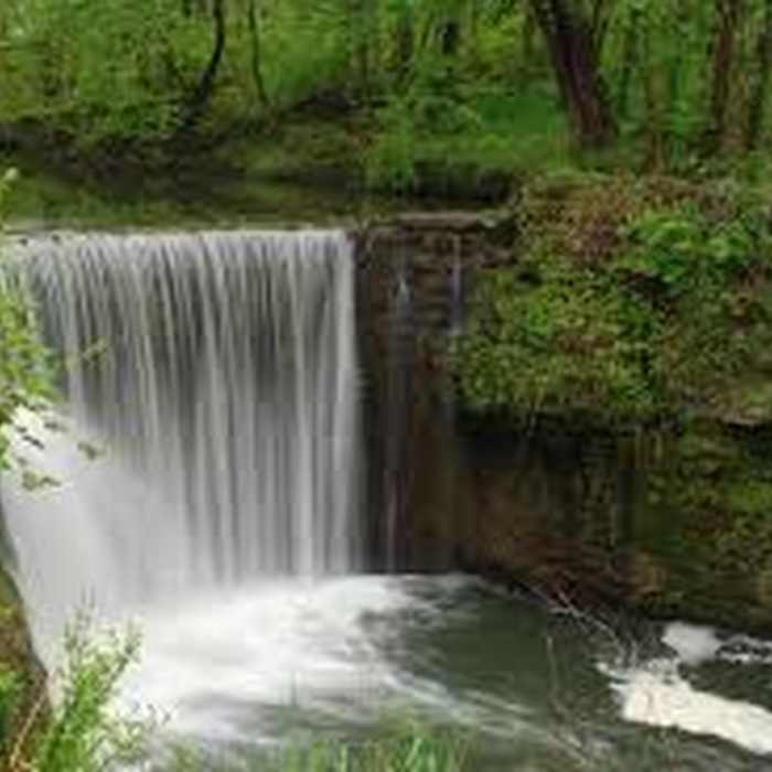 Near Cedar Falls Overlook Trail