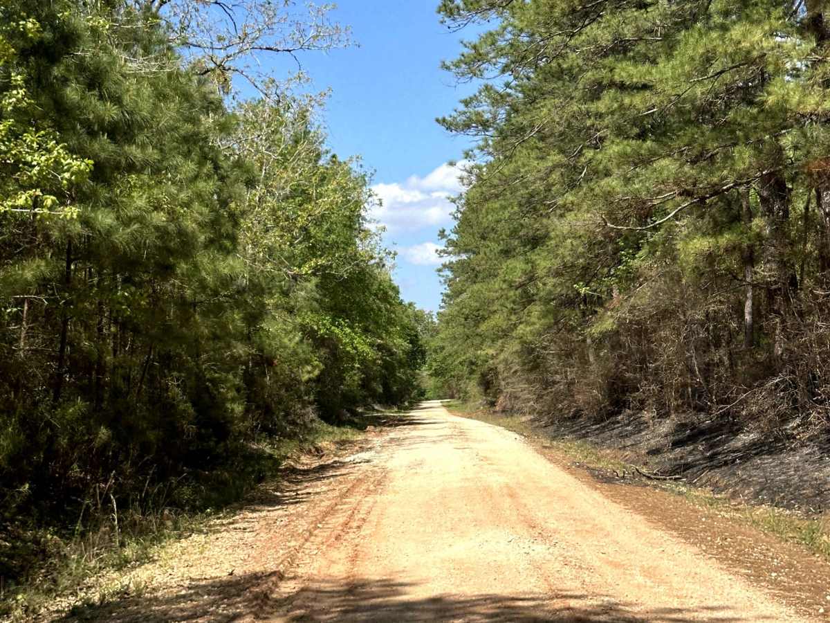 Louisville Road photo 5