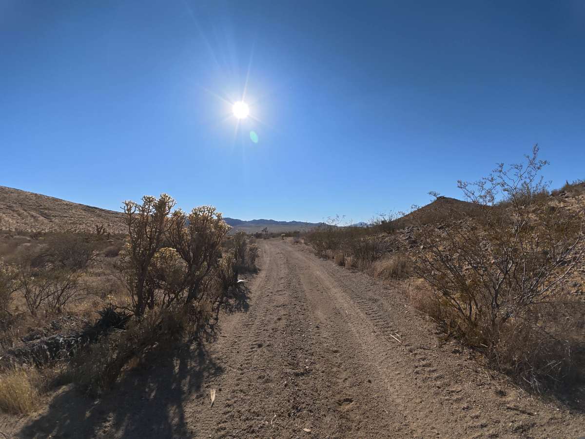 BLM SV2627 photo 5