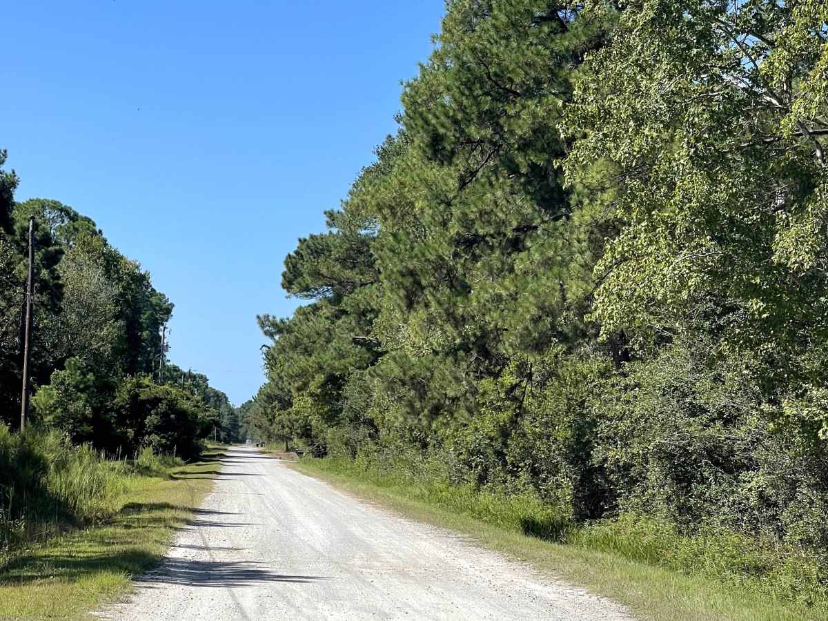 Juniper Road trail photo