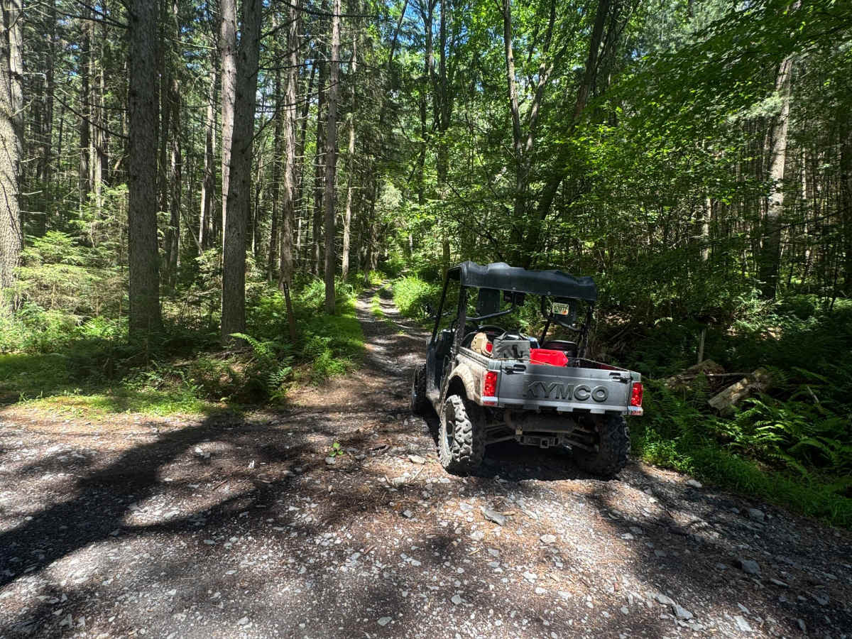 Button Connector Trail trail photo