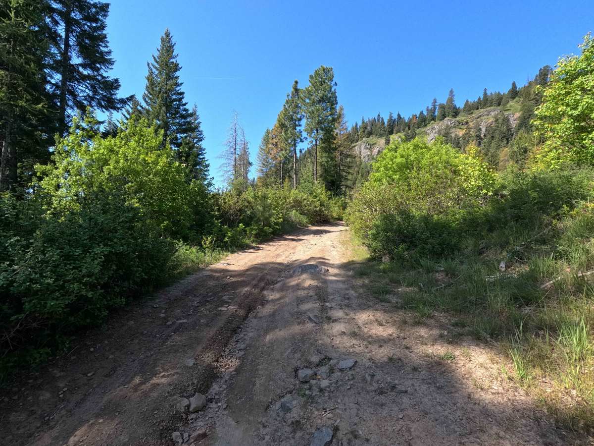 Highline - Trail 203 photo 3