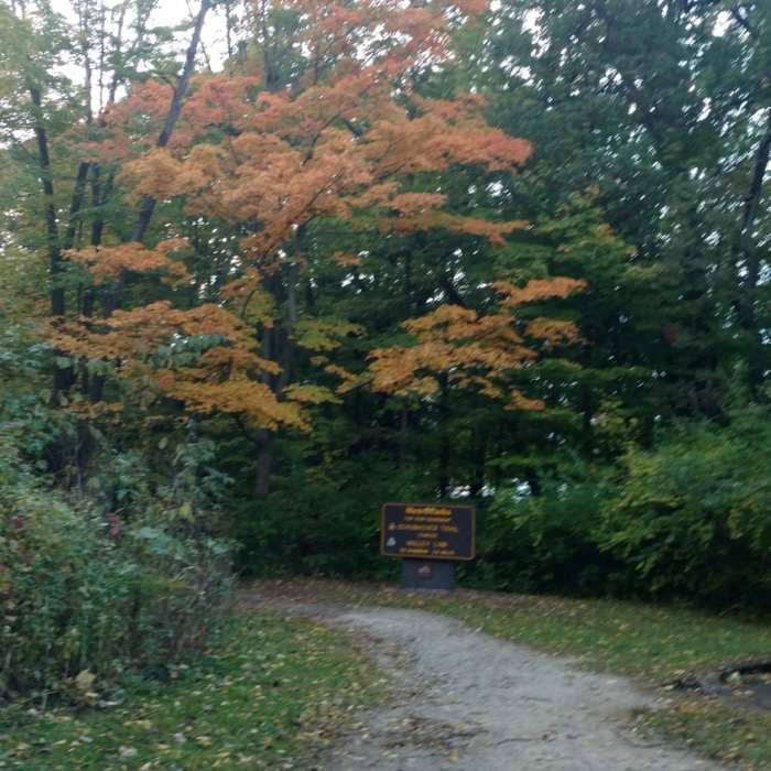 Start of the Schumacher Trail Near Schumacher Trail