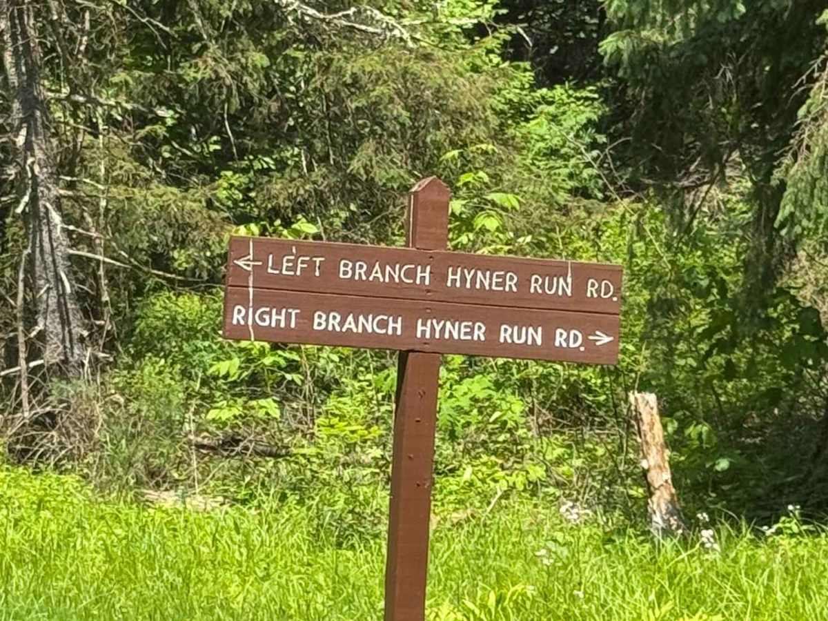 Left Branch Hyner Run Road trail photo