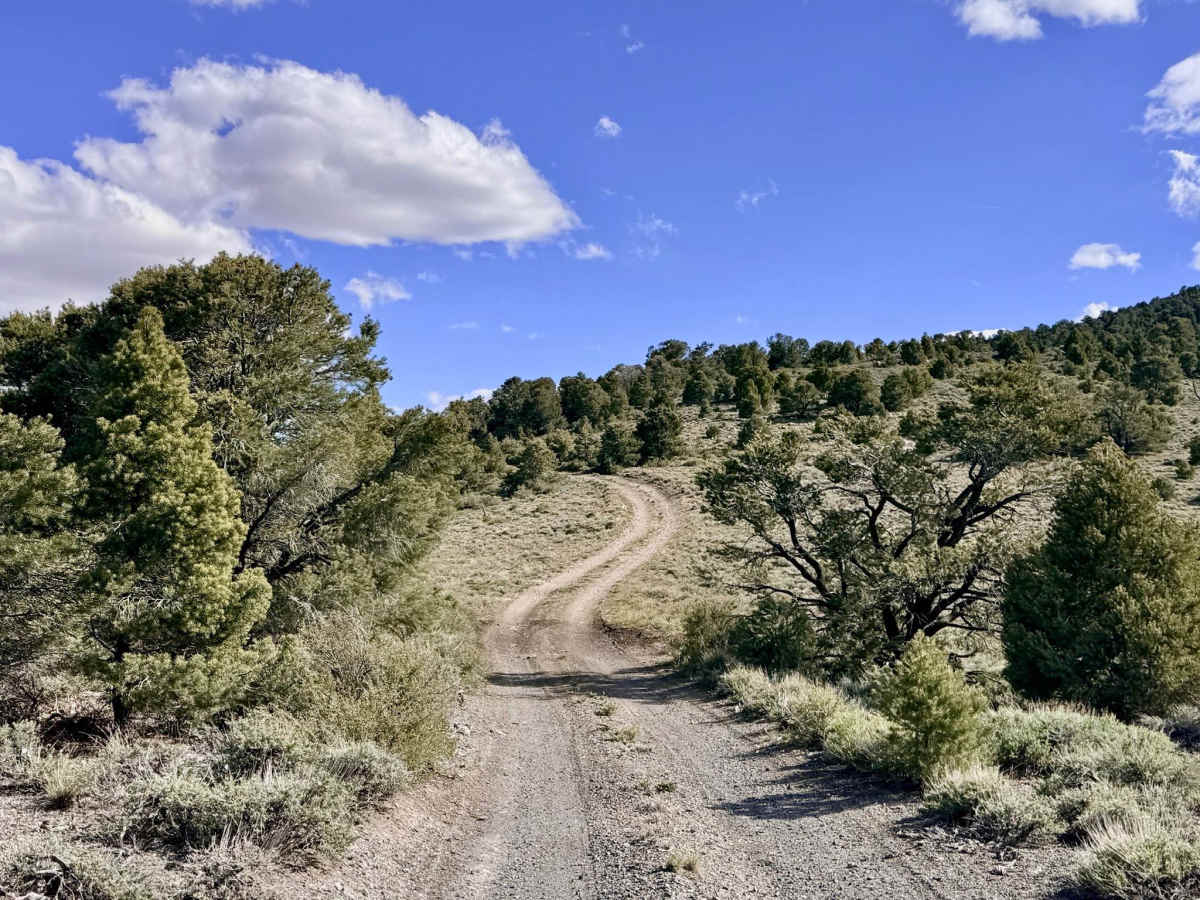 Quima - FS 44456 trail photo